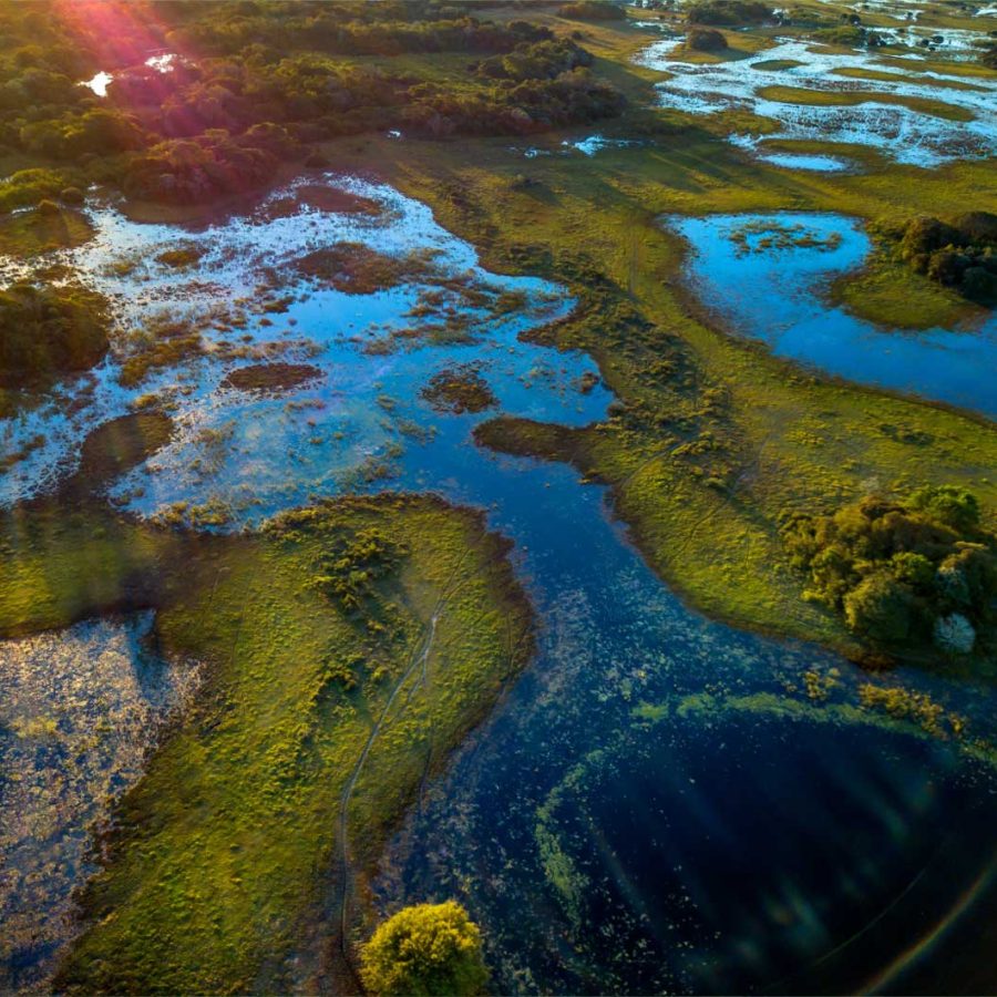 inspira_pantanal